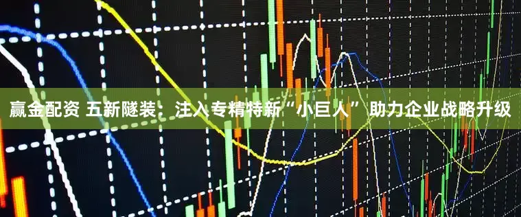 赢金配资 五新隧装：注入专精特新“小巨人” 助力企业战略升级