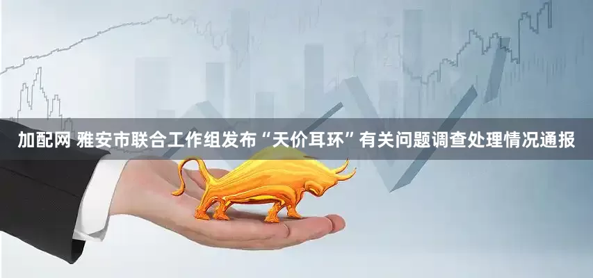 加配网 雅安市联合工作组发布“天价耳环”有关问题调查处理情况通报